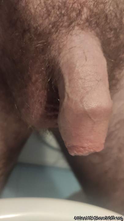 Photo of a wiener from AttleeMS