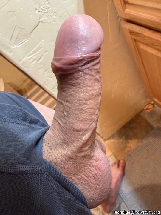 Photo of a third leg from eonblue