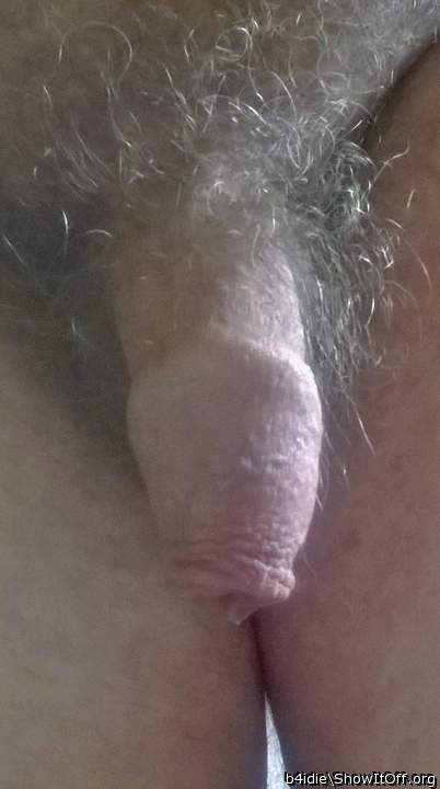 Photo of a drain pipe from b4idie