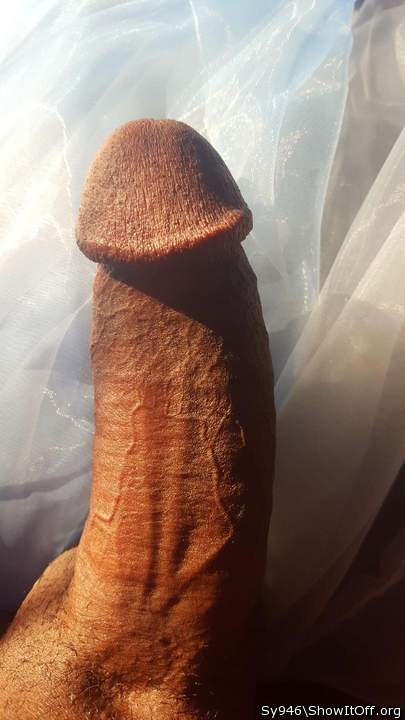 Photo of a dong from Sy946