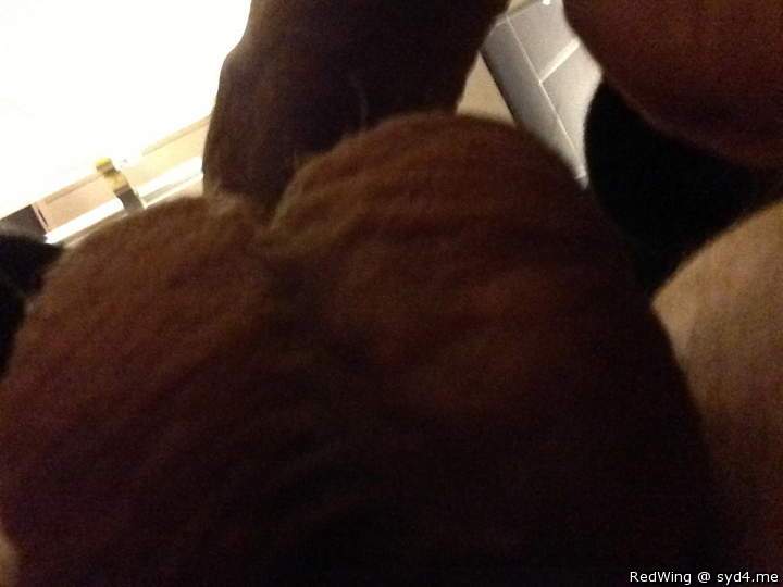 Photo of a wiener from RedWing