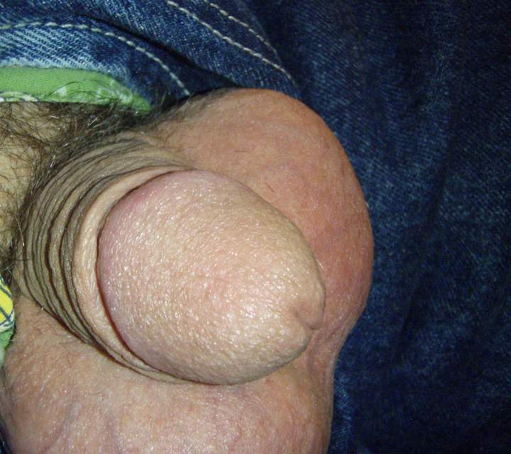 Photo of a schlong from lilsoftee