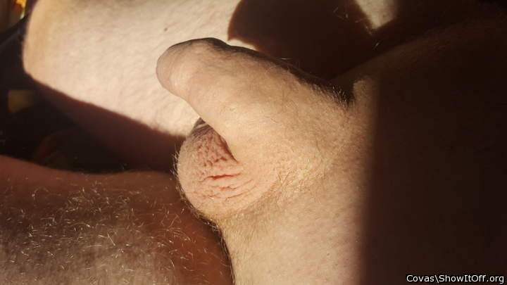 Photo of a pocket rocket from covas