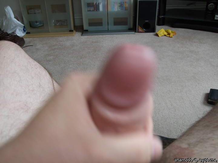 Photo of a middle leg from shamo99UK