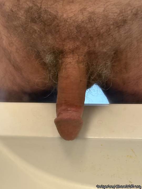 Photo of a horn from dodgerboy