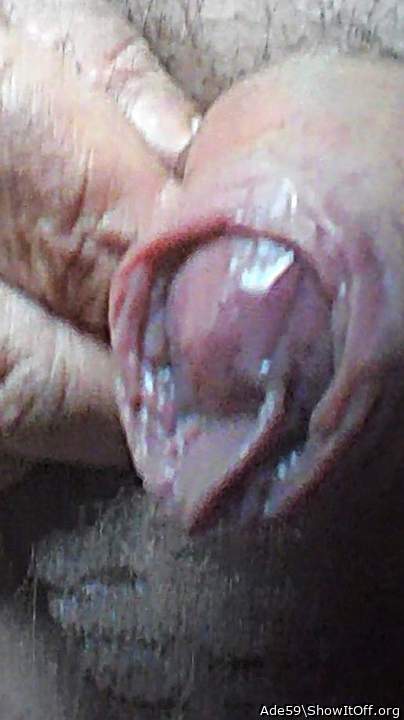 nice close-up   