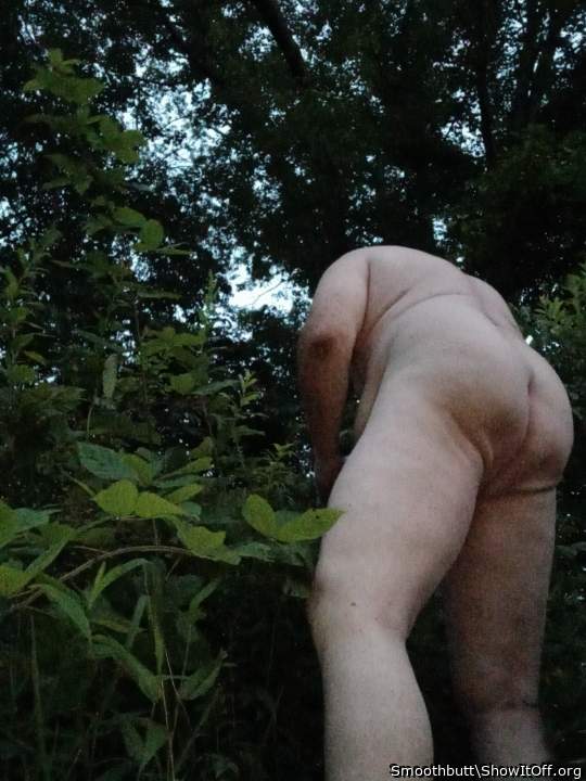 Black berry  picken