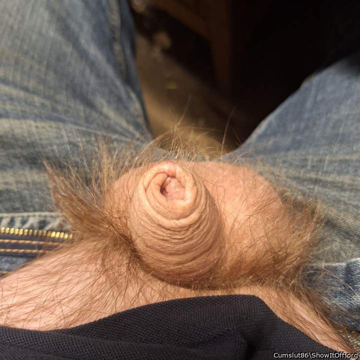 sweet hairy dick 