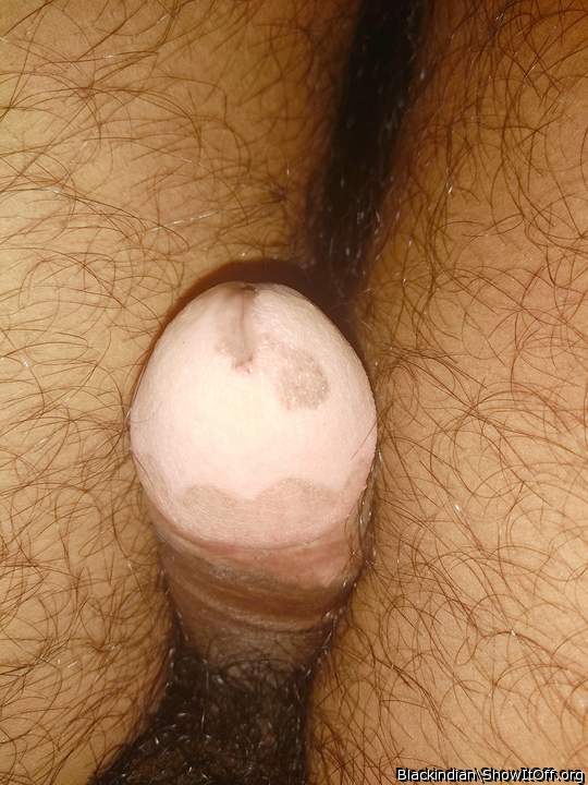 Photo of a python from BlackIndian