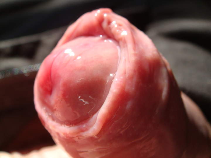 Photo of a thing from sivad666