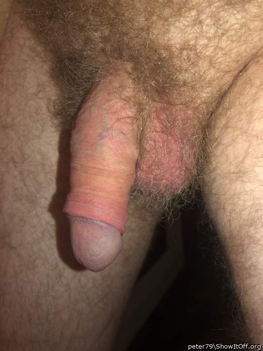 Photo of a power tool from peter79