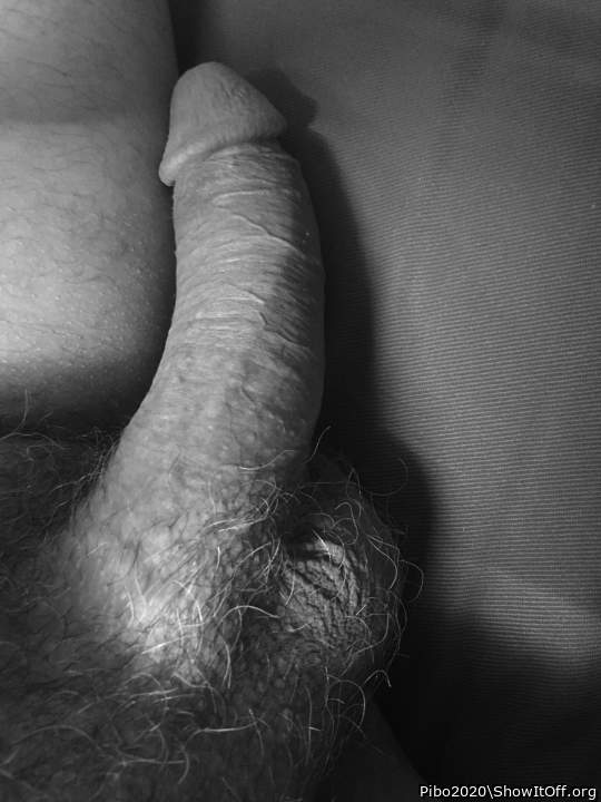 Photo of a short leg from Pibo2020
