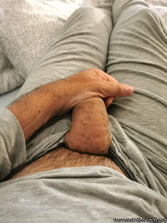 Photo of a hot dog from massivecock