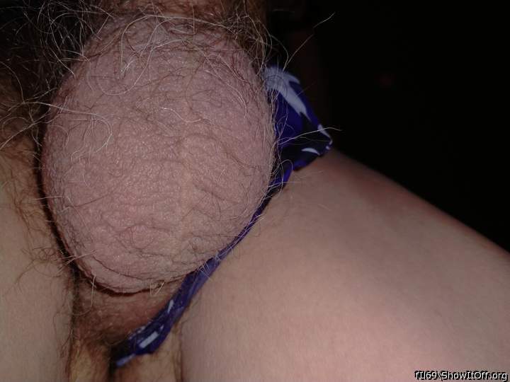 Testicles Photo from fIl69
