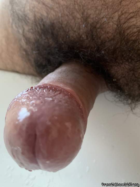 Photo of a stiffie from Franc0