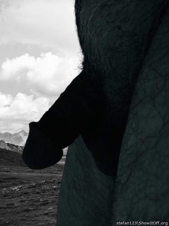 Nice black and white picture of your cock. Very artistic 