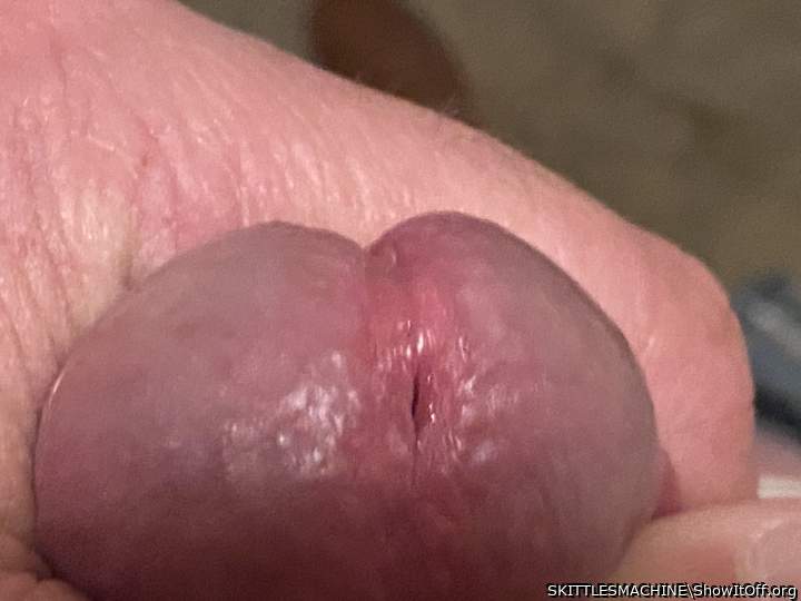 Great close up. I love it!