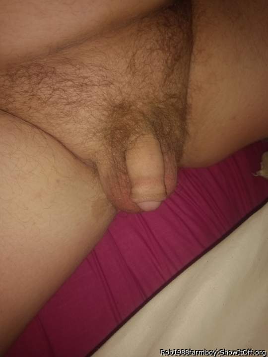 Photo of a python from Rob1988farmboy