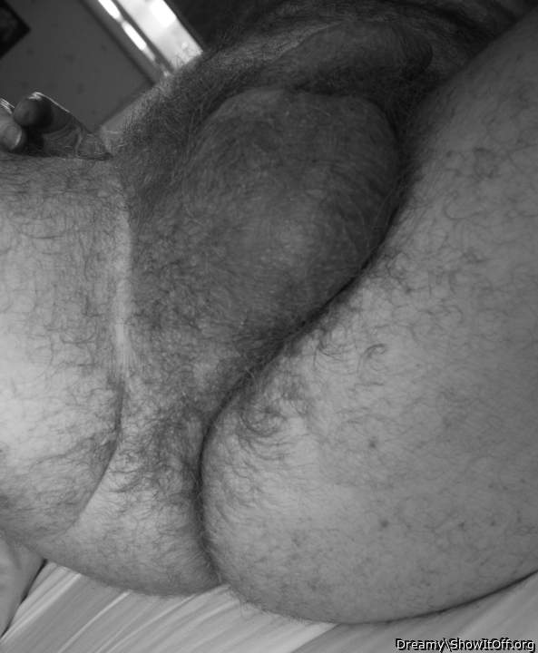 Photo of a middle leg from Dreamy