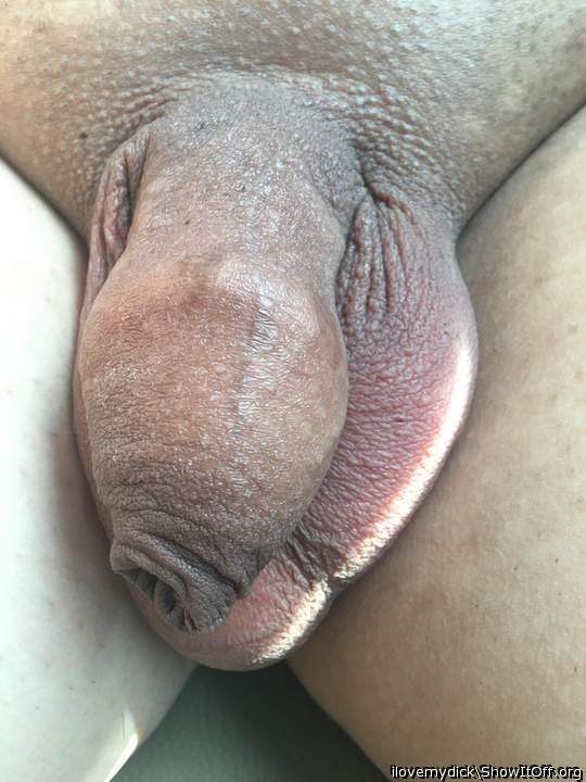 Beautiful softy closeup !  