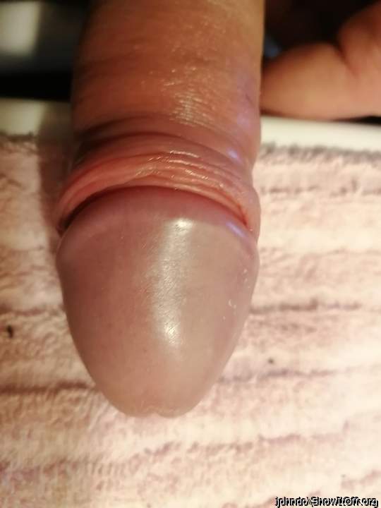 Photo of a cock from johndo