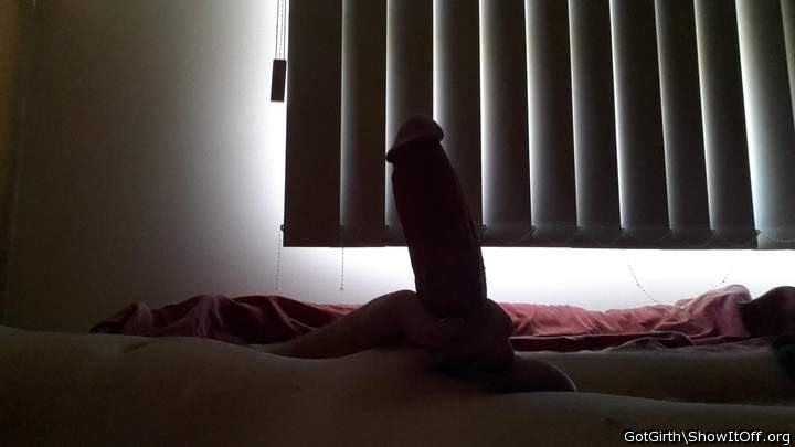 Photo of a cock from GotGirth