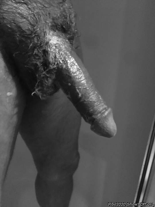 Photo of a third leg from Pibo2020