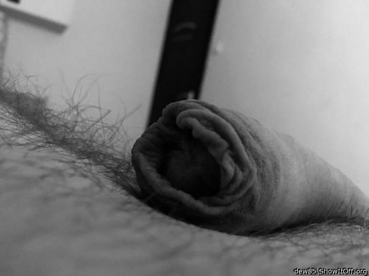 Photo of a ram rod from dew85