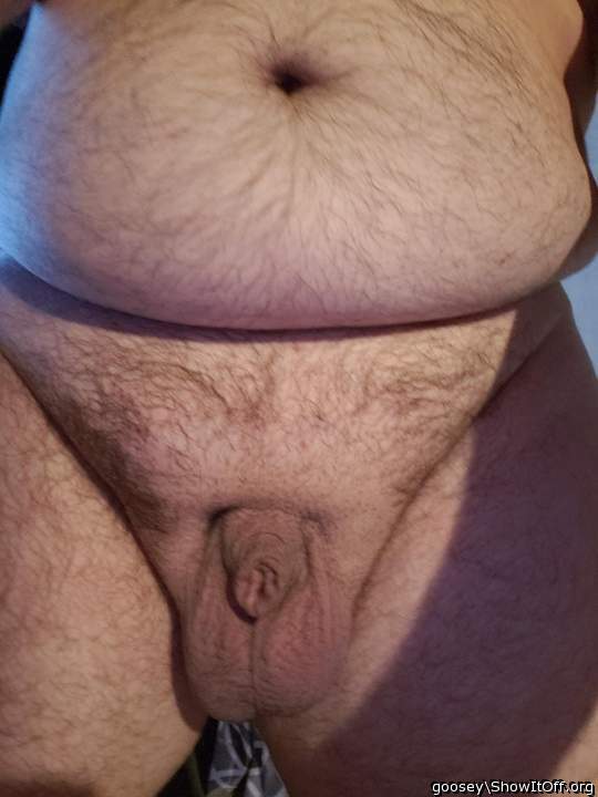 Testicles Photo from Goosey