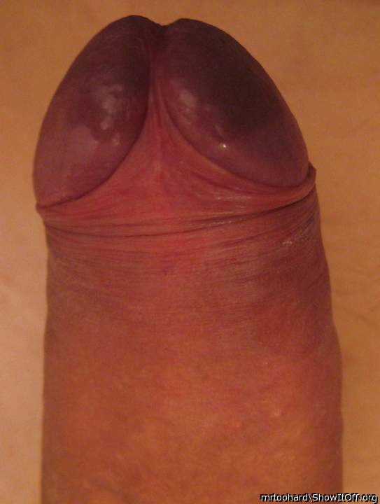 Photo of a pecker from mrtoohard