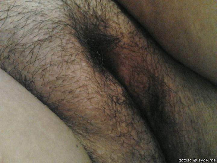 Photo of a prick from gatoso