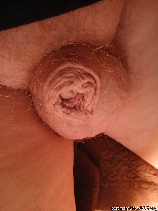 Ginger