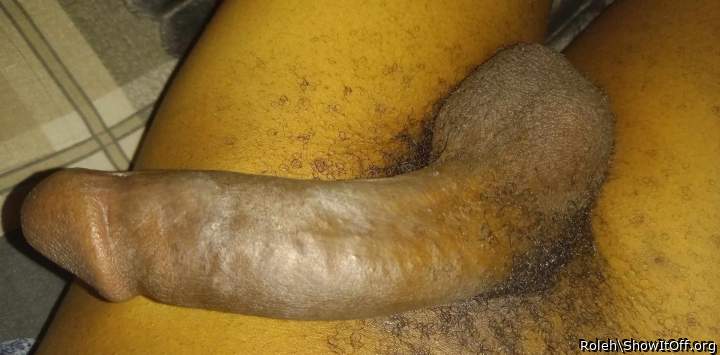 Photo of a short leg from Roleh