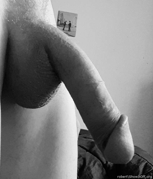 considerable cock head