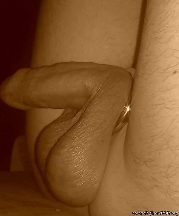 Photo of a wiener from corona7
