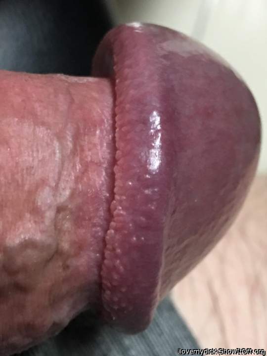 want to run my tongue around your head 