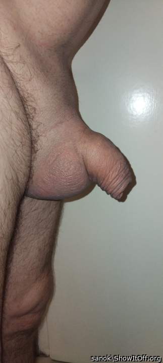 Testicles Photo from sanok