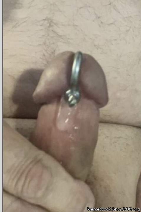 Photo of a horn from Piercedcock