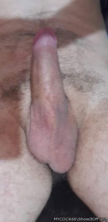 Photo of a member from MYCOCK66