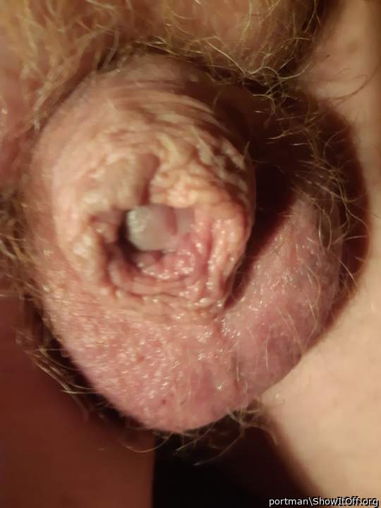 Ginger