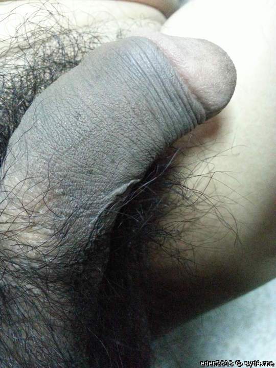 Photo of a drain pipe from eden2313