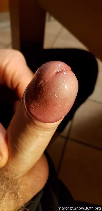Photo of a sausage from marcriz