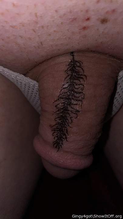 Photo of a middle leg from Gingy4got
