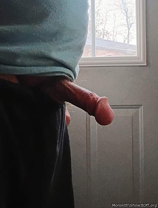 Photo of a bat from Monolith