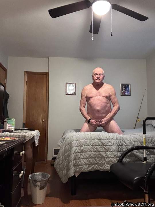 Photo of a weasel from jimbobi