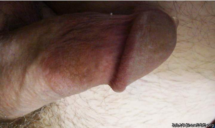 Photo of a bald-headed mouse from Jblb16