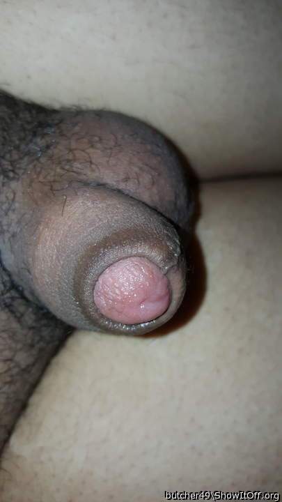 Precum covered head