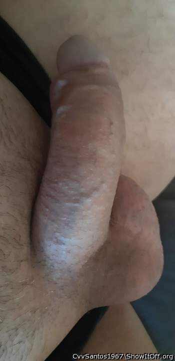 Photo of a boner from CvvSantos1967