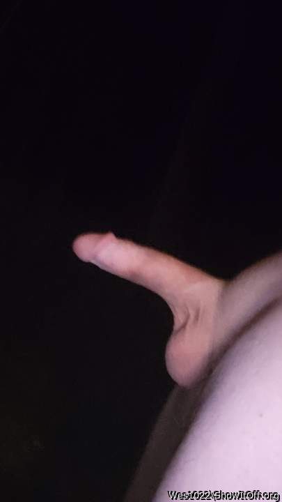 Photo of a weasel from Wes1022