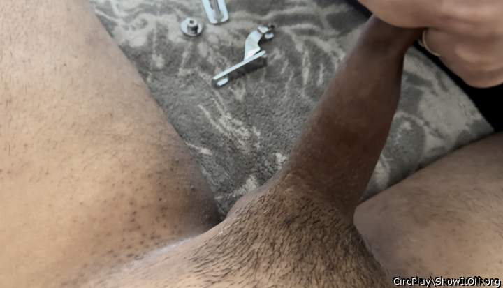 Photo of a dong from CircPlay